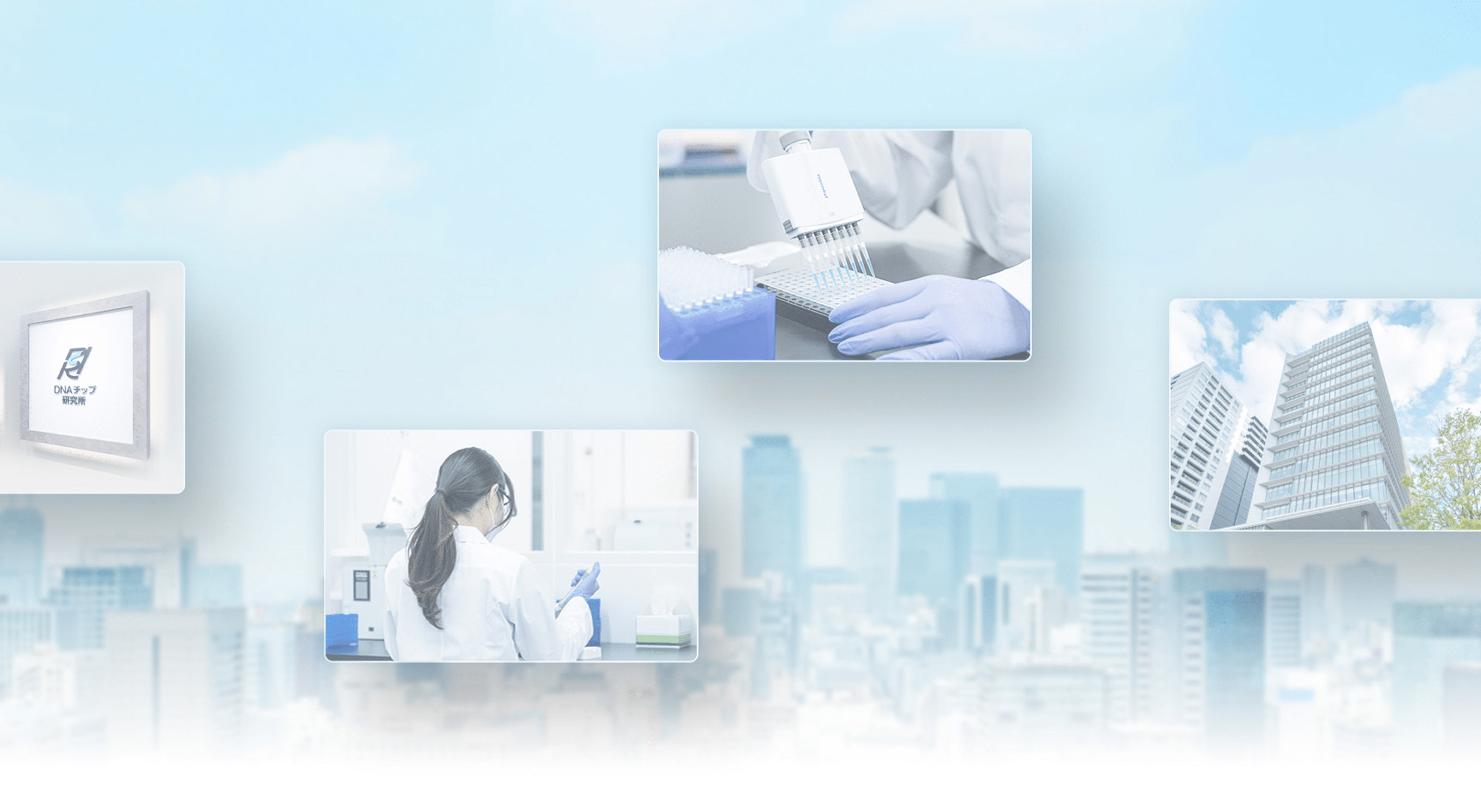 研究員が実験している様子やマルチチャンネルピペットの操作風景などの写真が並ぶ