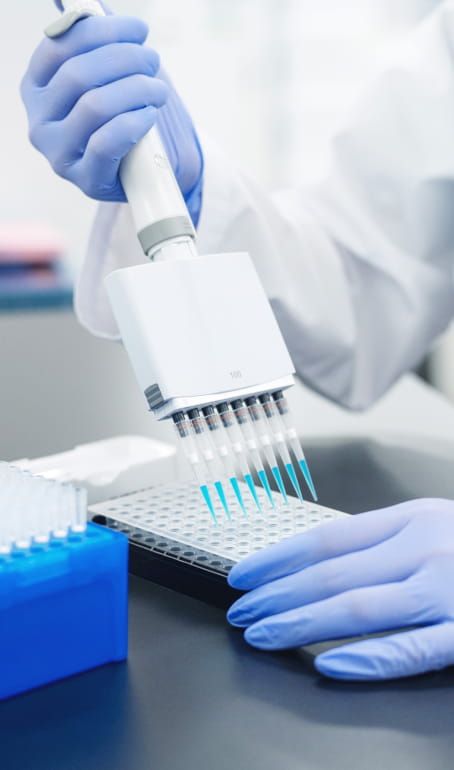 遺伝子解析のためにDNAサンプルを多検体ピペットで分注する研究者の手元。